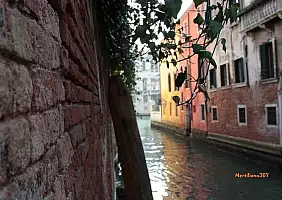 turistipercaso venezia-3vkkm