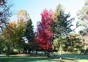 turistipercaso vermont-acbxj