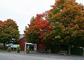turistipercaso vermont-jncx1