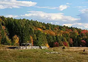 turistipercaso vermont-vr1wa