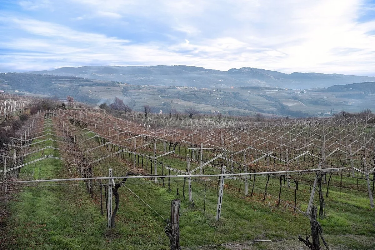 Girovagando per la Valpolicella