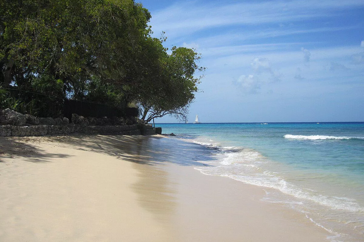 sandy lane