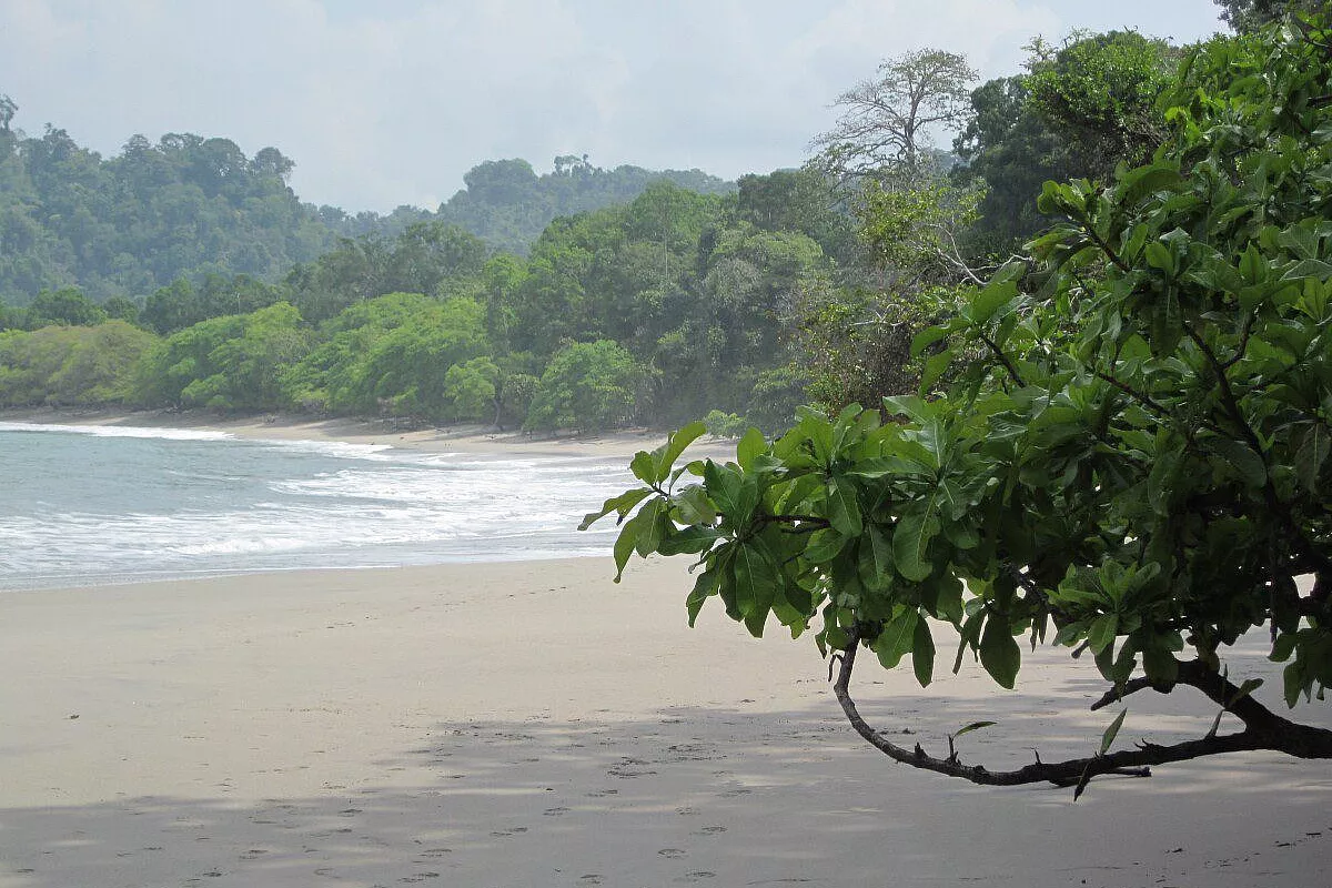 Playa Espadrilla, Manuel Antonio
