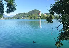 turistipercaso viaggi-con-bambini-n1bcw