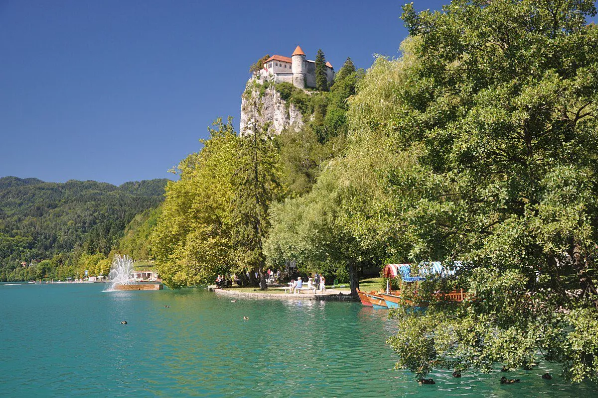 Bled