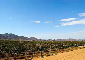 turistipercaso viaggioontheroad-qzk81