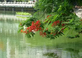 turistipercaso vietnam-2f6nv