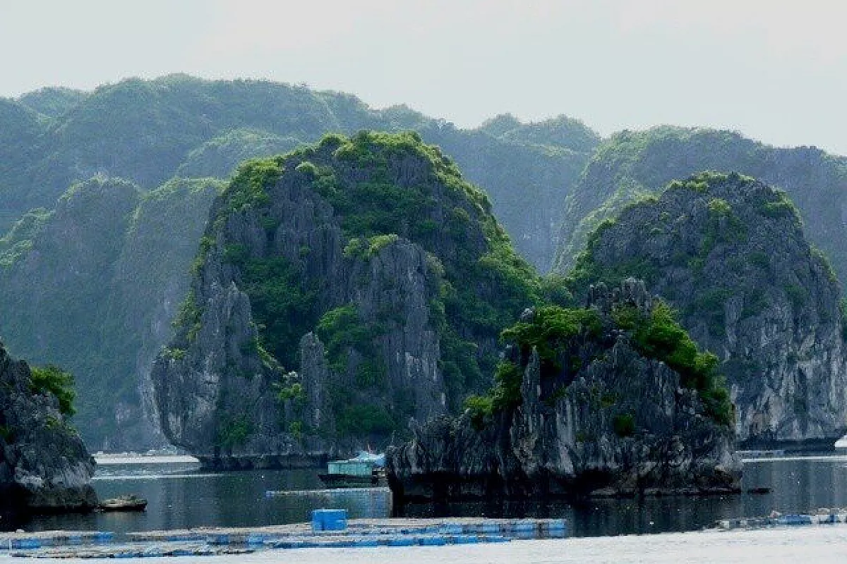Baia di Halong