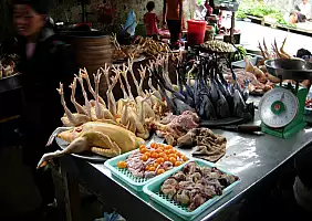 turistipercaso vietnam-asa2x