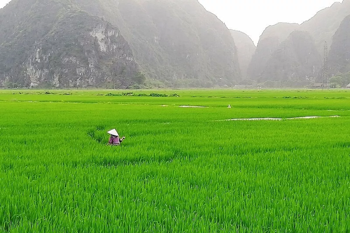 Tre amiche in Vietnam, zaino in spalla
