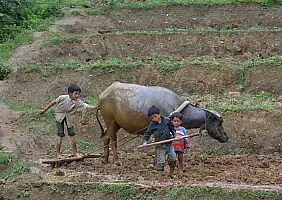 turistipercaso vietnam-qhxuv