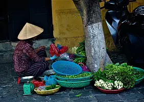 turistipercaso vietnam-r333u