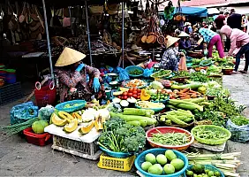 turistipercaso vietnam-snzp9