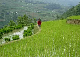 turistipercaso vietnam-vmhd2