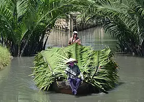 turistipercaso vietnam-wut75