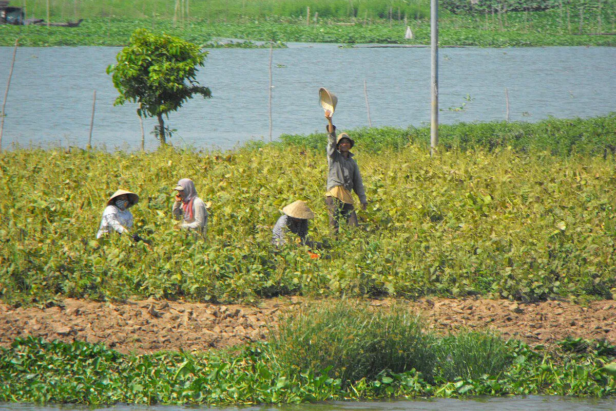 Vietnam… e il suo popolo gentile e sorridente