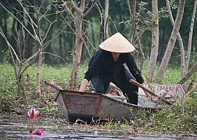 turistipercaso vietnam-xhm7w