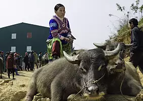 turistipercaso vietnam-y9733