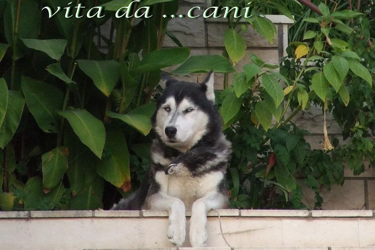 Pasqua toscana