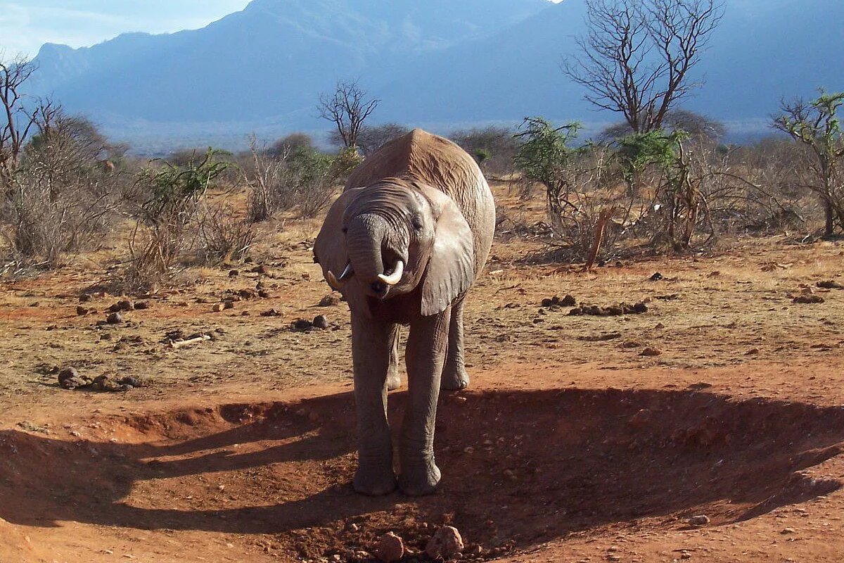 Il kenia nel cuore