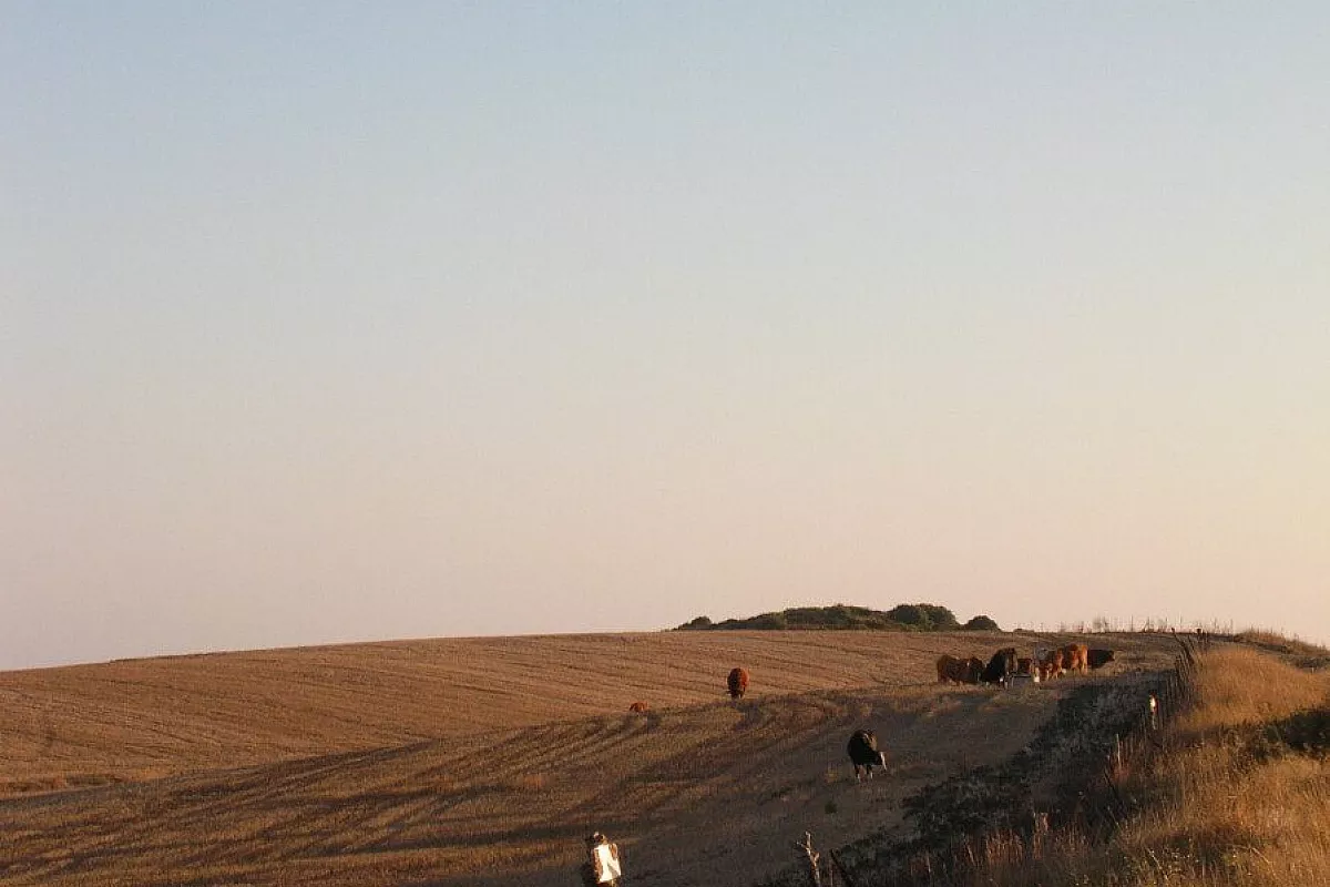 Un week end a spasso per Siviglia e Cordova