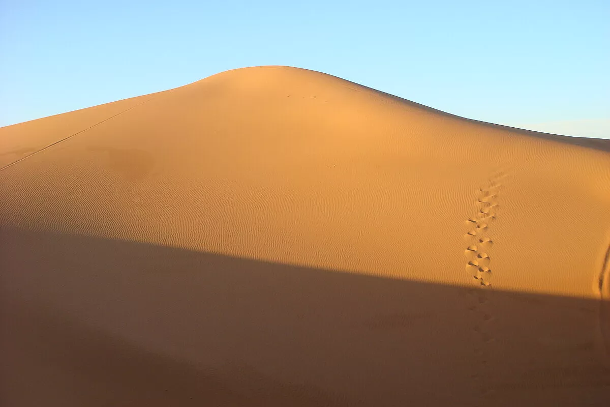 shukran marocco