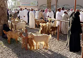 turistipercaso wahibasands-d3mvu