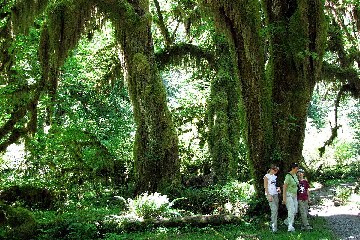British Columbia ed Olympic Peninsula: dall'isola di Vancouver ai luoghi di