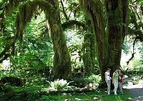 turistipercaso washington-region-7cen2