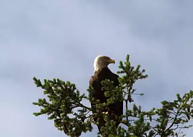 turistipercaso washington-region-mfqdk