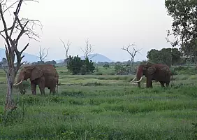 turistipercaso watamu-zwja3