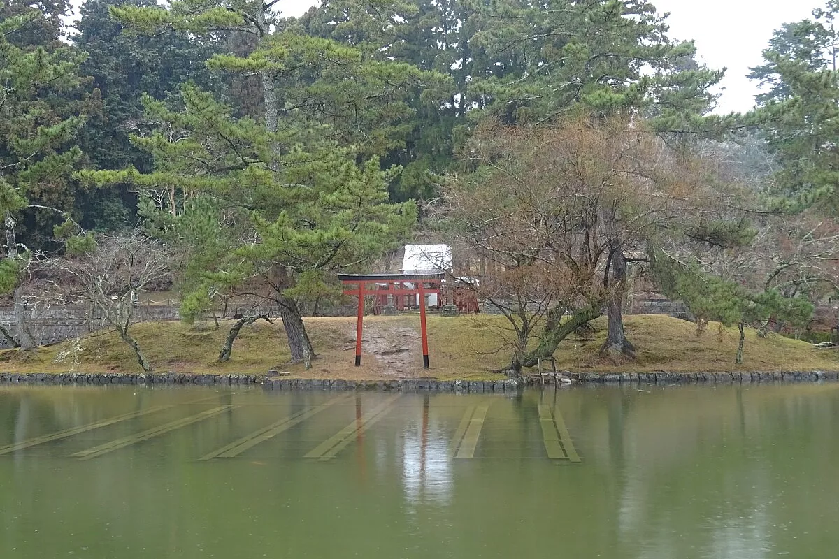 Più cervi o persone? Questo il dubbio che rimane visitando la città giapponese di Nara