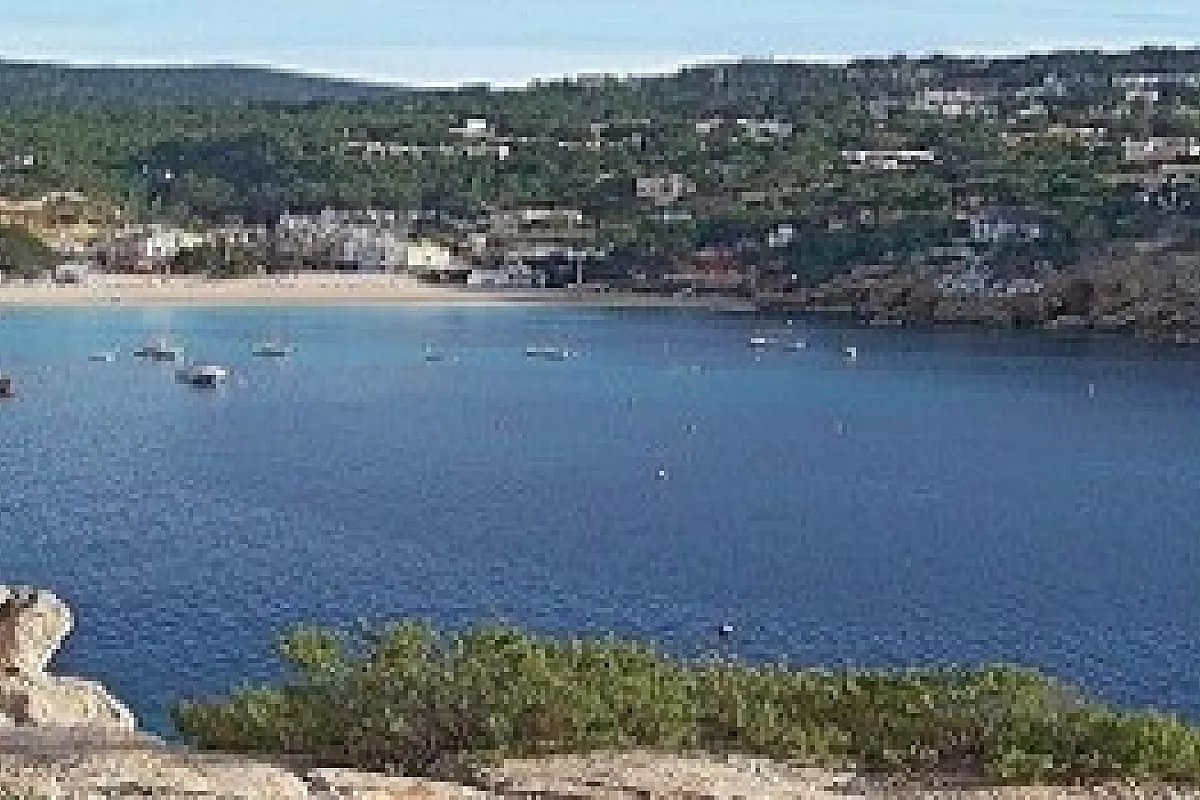 Vacanze estive: dove si va?