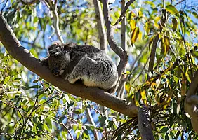 turistipercaso western-australia-hswbp