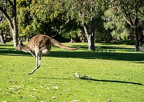 turistipercaso western-australia-z9s5f