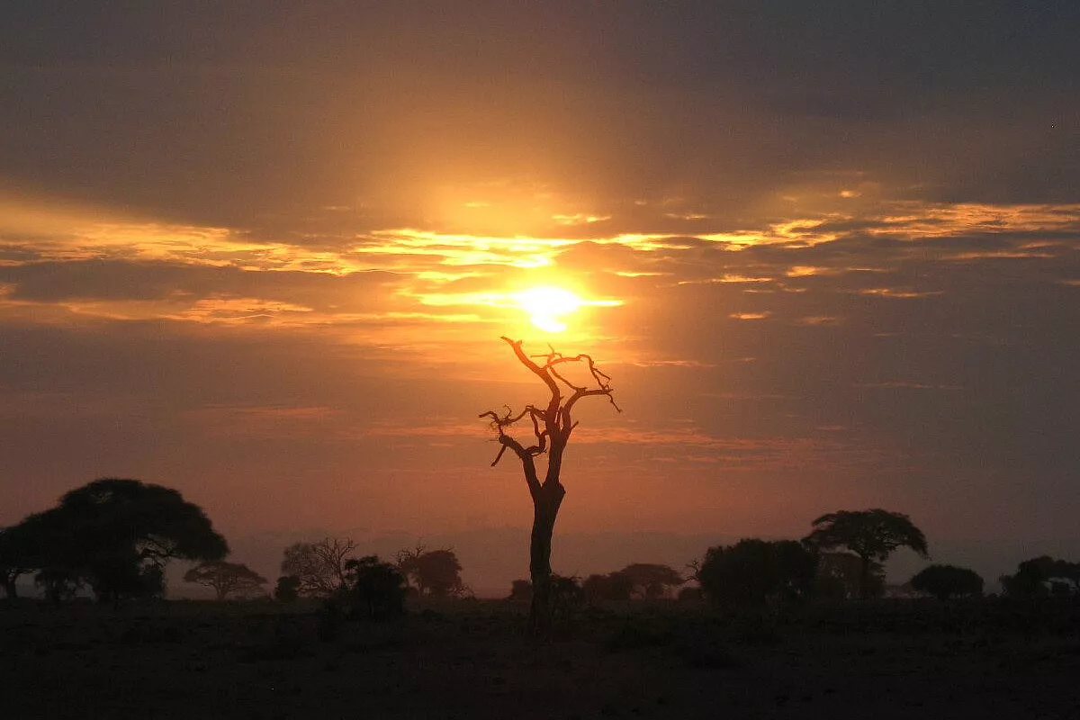 Indimenticabile Watamu