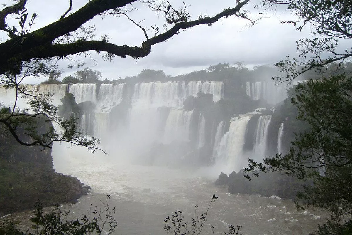 Amazzonia dasalvare