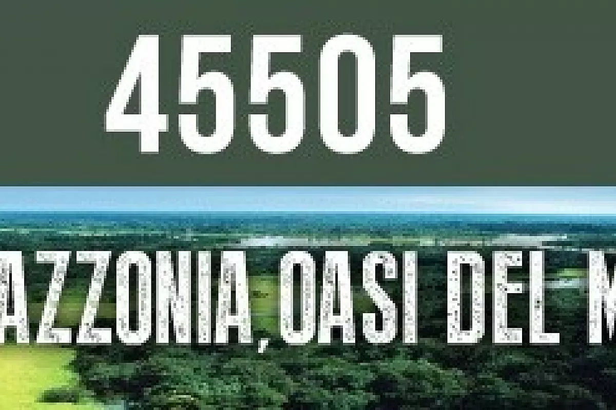 Il WWF scende in campo per salvare la foresta amazzonica