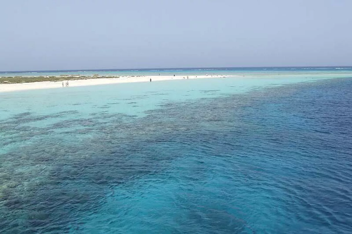 Marsa Alam Elphistone a Dicembre