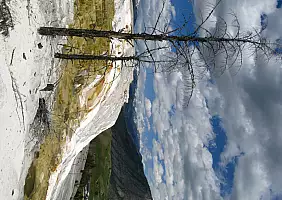 turistipercaso yellowstone-x8wgy