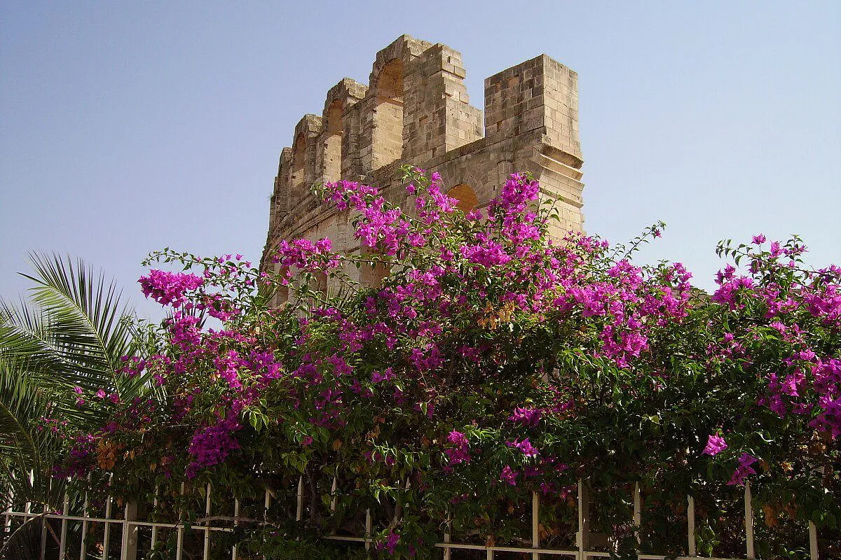 Bellissima esperienza in Tunisia di Monastir