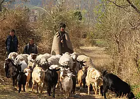 turistipercaso yunnan-region-6havb