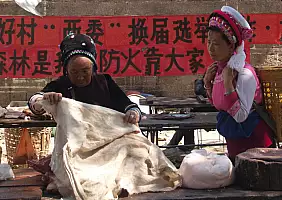 turistipercaso yunnan-region-8v83e