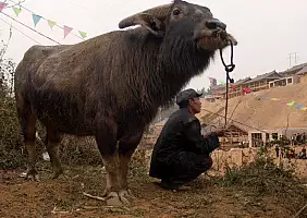 turistipercaso yunnan-region-rg42s
