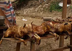 turistipercaso yunnan-region-zakpy