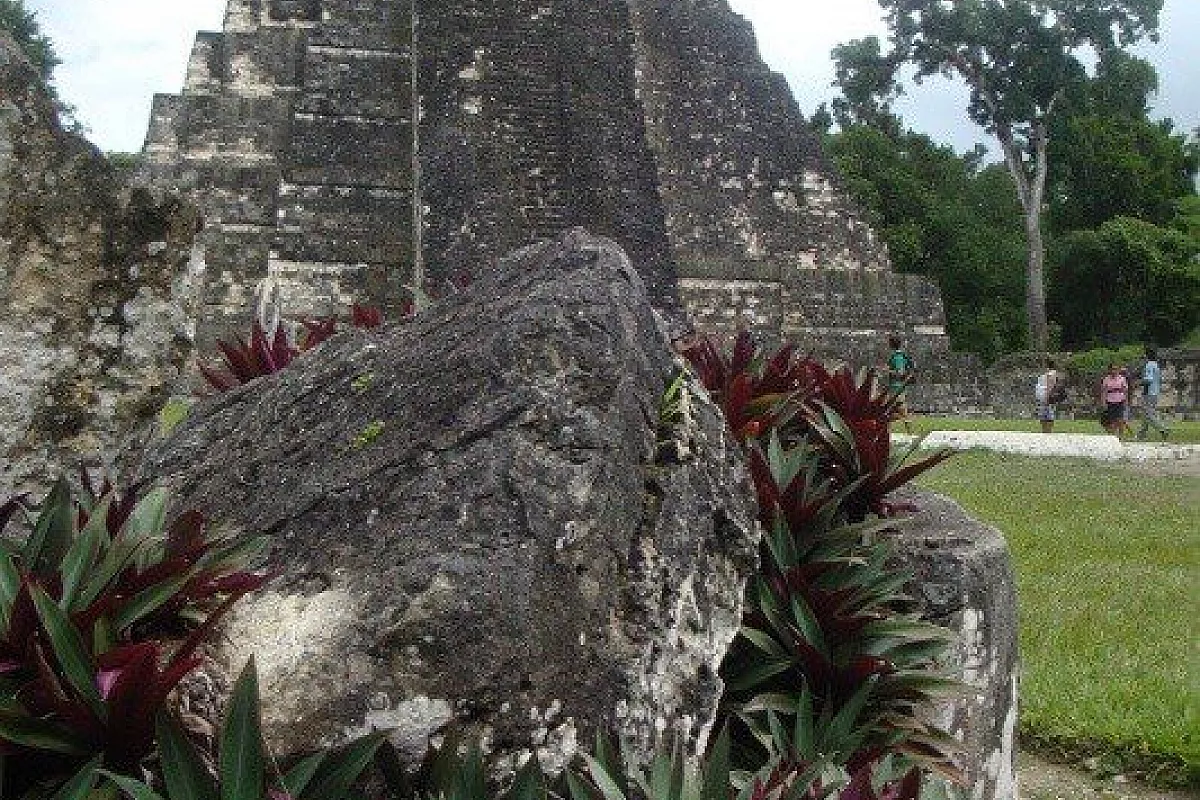 Tikal, Tempio principale