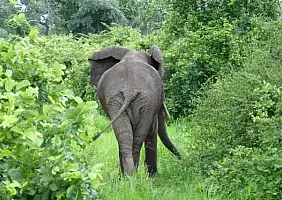 turistipercaso zambia-39m3c