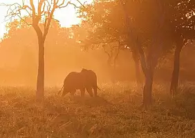 turistipercaso zambia-aq9dg