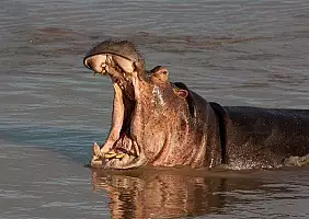 turistipercaso zambia-mae7w