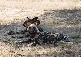 turistipercaso zambia-ng6cs